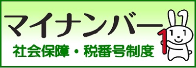 デジタル庁 マイナンバー（個人番号）制度