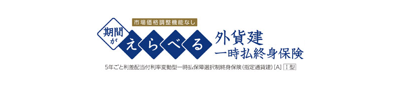 お客さまのニーズにあわせて第1保険期間をえらび運用することで、資産を増やすことができる米ドル建ての一時払終身保険です。