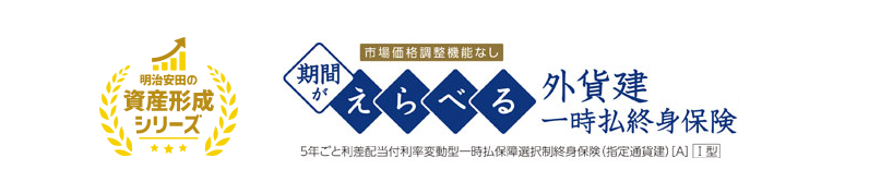 お客さまのニーズにあわせて第1保険期間をえらび運用することで、資産を増やすことができる米ドル建ての一時払終身保険です。