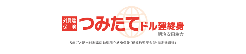 生涯にわたる保障と将来の資金準備を兼ね備えた米ドル建ての終身保険です。