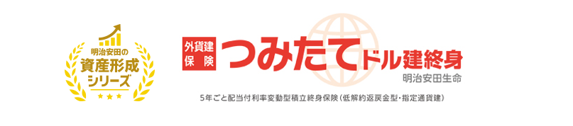 生涯にわたる保障と将来の資金準備を兼ね備えた米ドル建ての終身保険です。