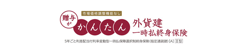 贈与がかんたん外貨建一時払終身保険